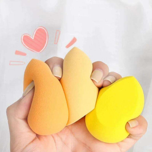 3PCS Professional Makeup Blender Sponge Set with Storage Case – Latex Free Beauty Blenders - Aarvana